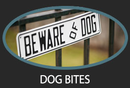 dog-bites